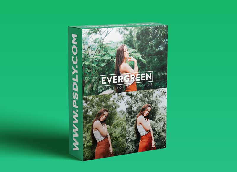 10 Evergreen Lightroom Presets