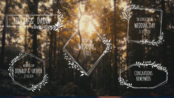 Videohive Wedding Titles 29681928