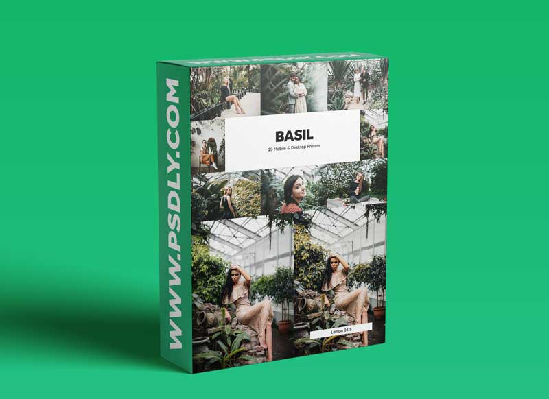 20 Basil Lightroom Presets & LUTs