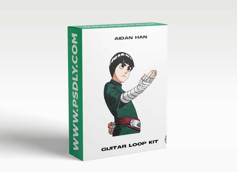 Aidan Han rock lee [guitar loop kit]