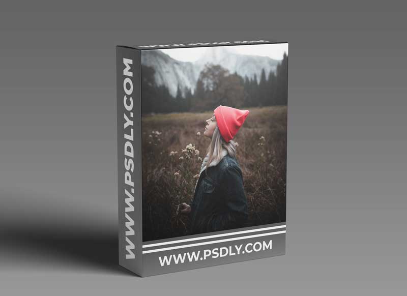 Ashley Inwanderland Photo - "Portrait" Lightroom Presets