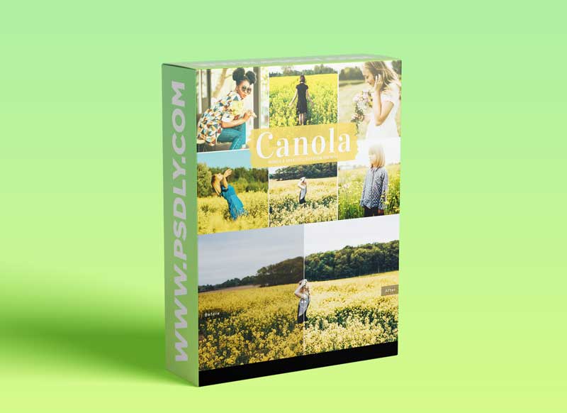 Canola Mobile & Desktop Lightroom Presets