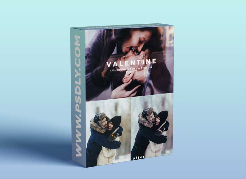 CreativeMarket - VALENTINE Lightroom Presets 5869078