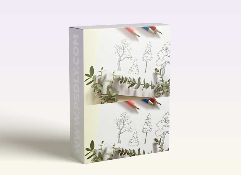 Draw Simple, Interesting Trees