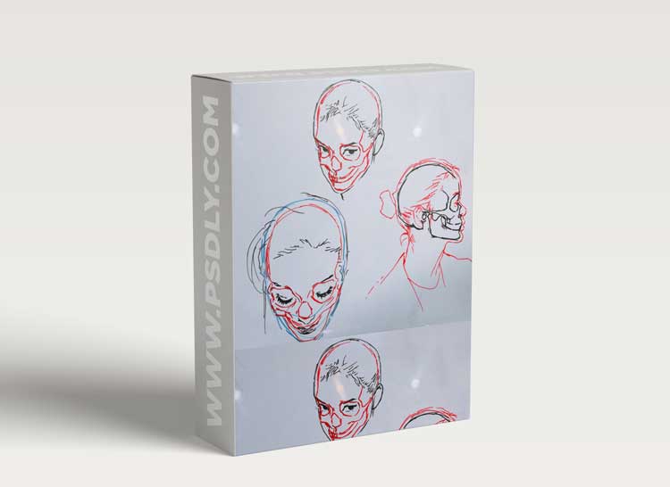 Female Skull and Portrait Drawing