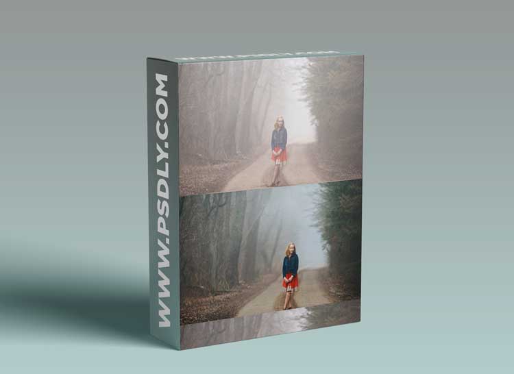 How to use presets and get good skin tones in LR & PS easily By Mickie DeVries