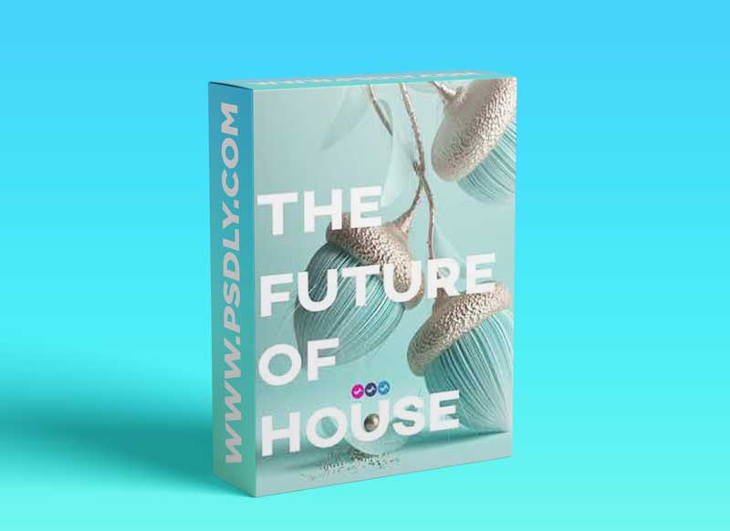 Soundsmiths The Future of House