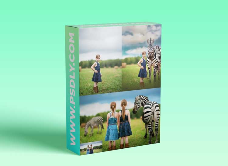 Summerana - Creating Animal Composites