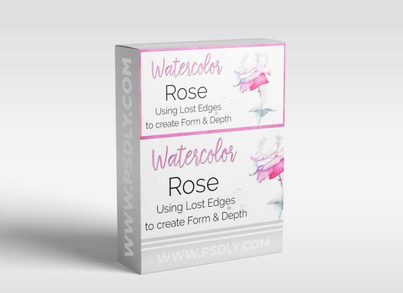 Watercolour Rose: Using lost edges to create form and depth.