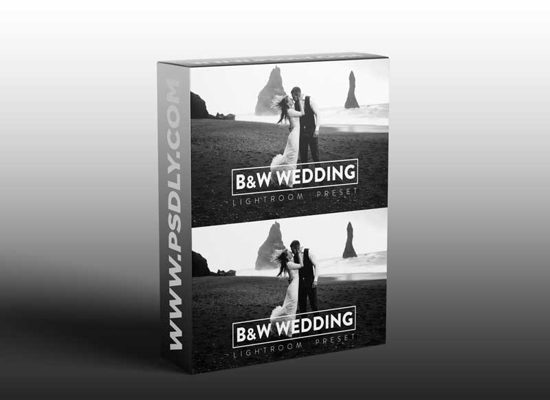 10 Black and White Wedding Lightroom Preset
