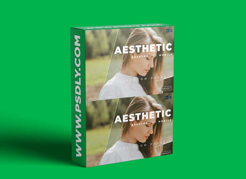 Aesthetic Desktop and Mobile Lightroom Preset
