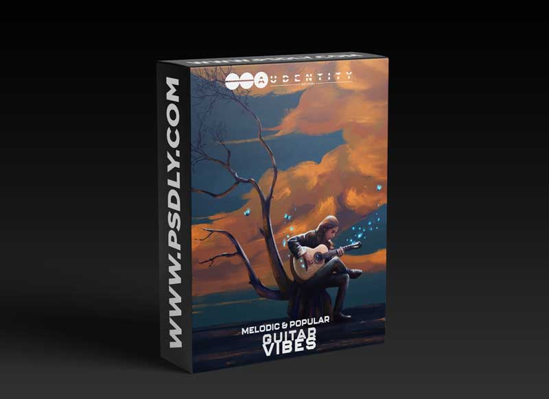 Audentity Records Melodic and Popular Guitar Vibes