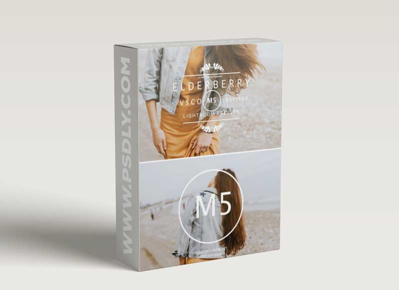 CM - ELDERBERRY VSCO Cam M5 LR preset 2377890