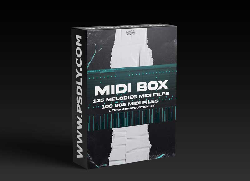 Cartel Loops MIDI Box 2