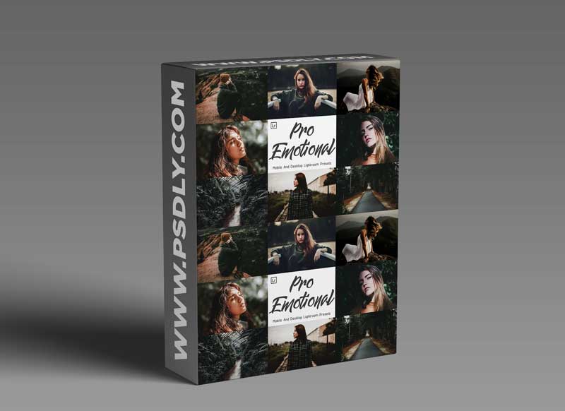 CreativeMarket - 10 Pro Emotional Mobile And Lightroom 6014478