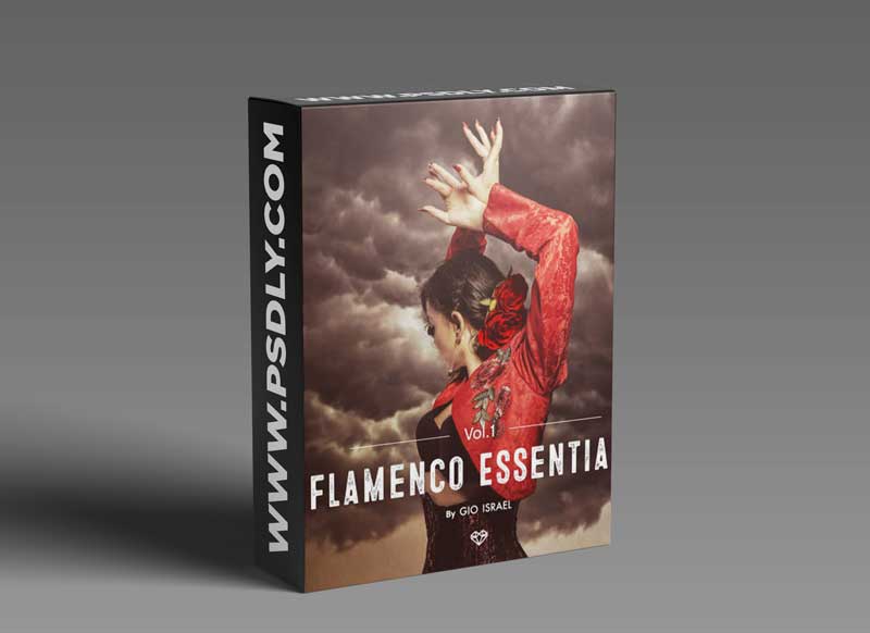 Gio Israel Flamenco Essentials Vol 1