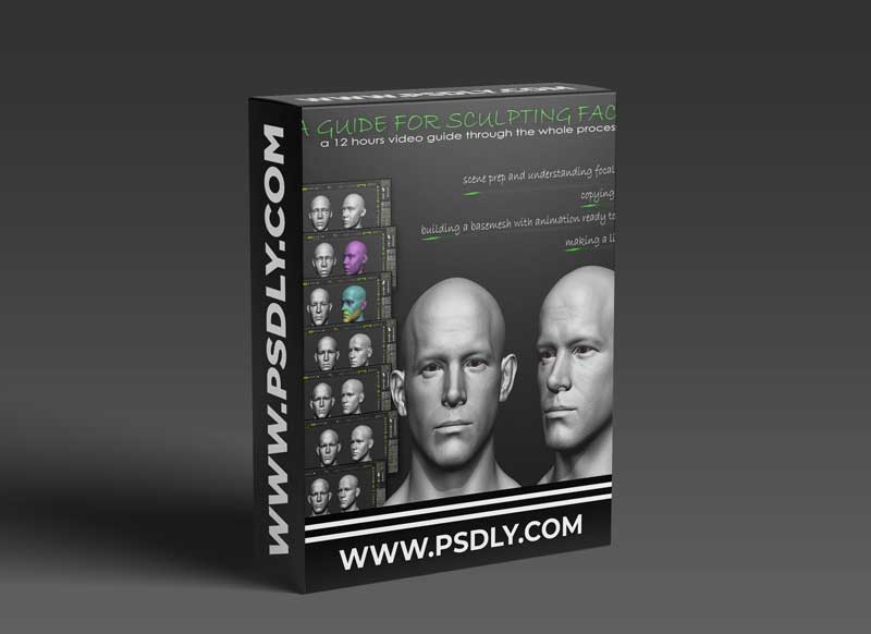 Gumroad – A Guide to Sculpting Faces