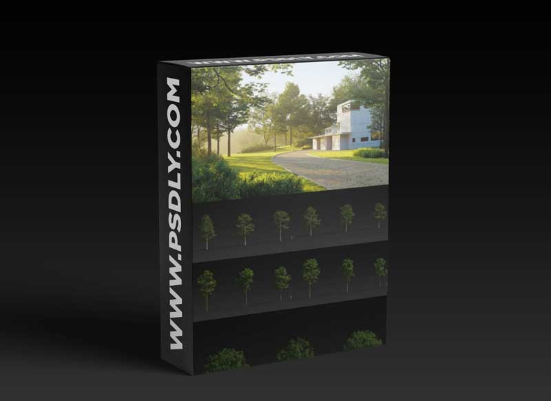 MaxTree - Plant Models Vol 30