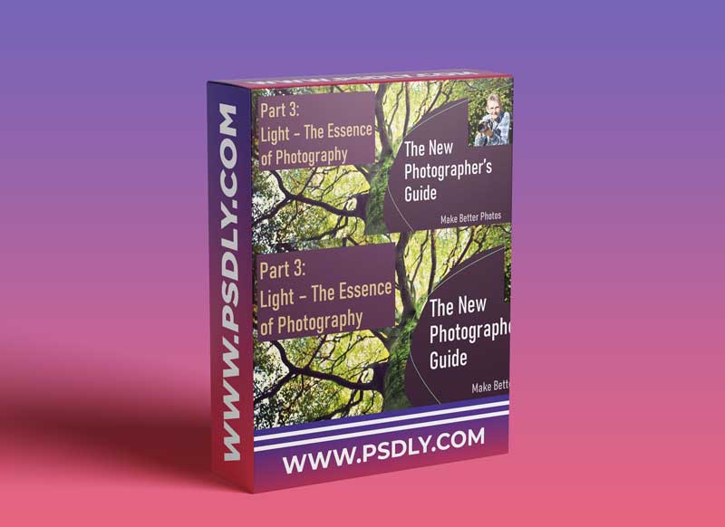 New Photographer's Guide: Light - The Essence of Photography