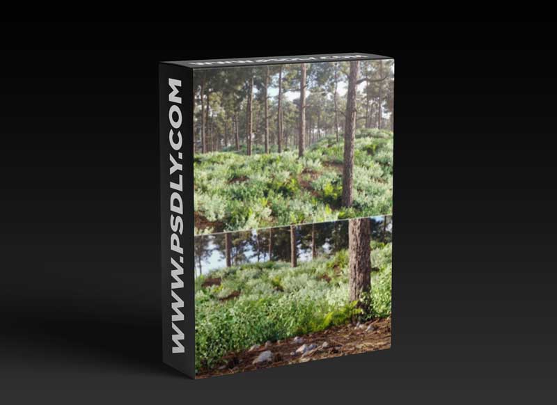 Nouvelle Mesure Lab - Caledonian Forest Pack