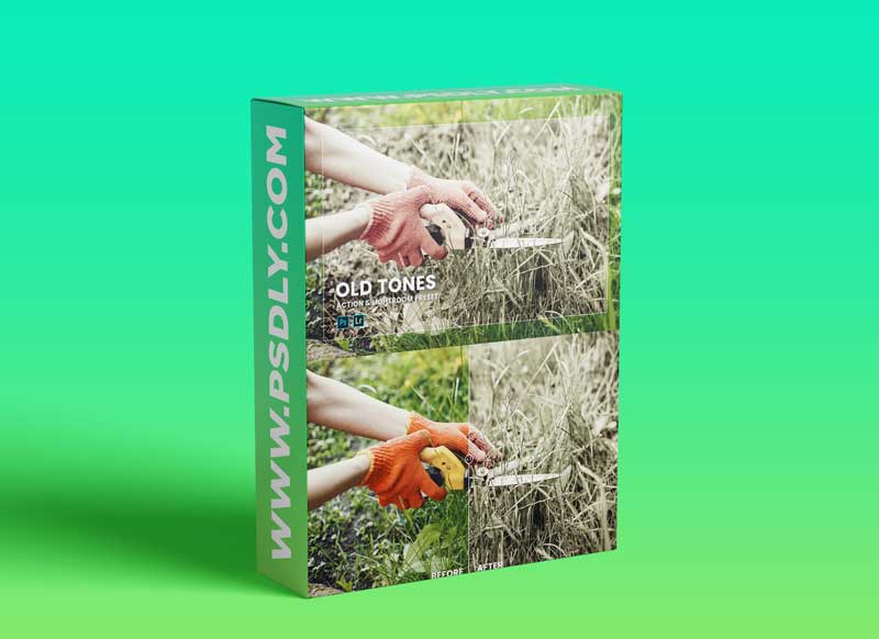 Old Tones Action & Lightroom Preset