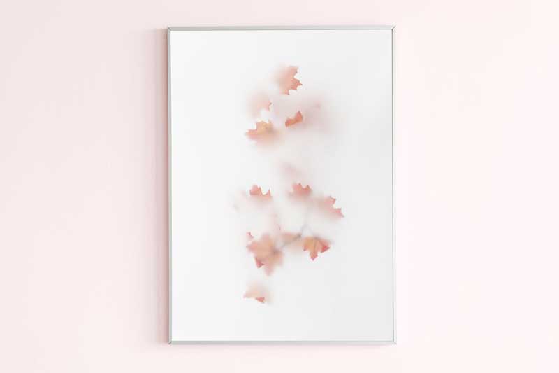 Photo frame on a pink wall with natural light