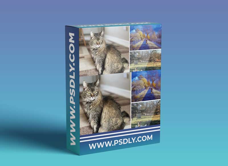 Photos for macOS Big Sur and iPhone Essential Training