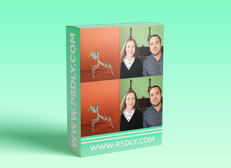 Stop Motion Animation Inspired by Nature: Animating Paper Insects