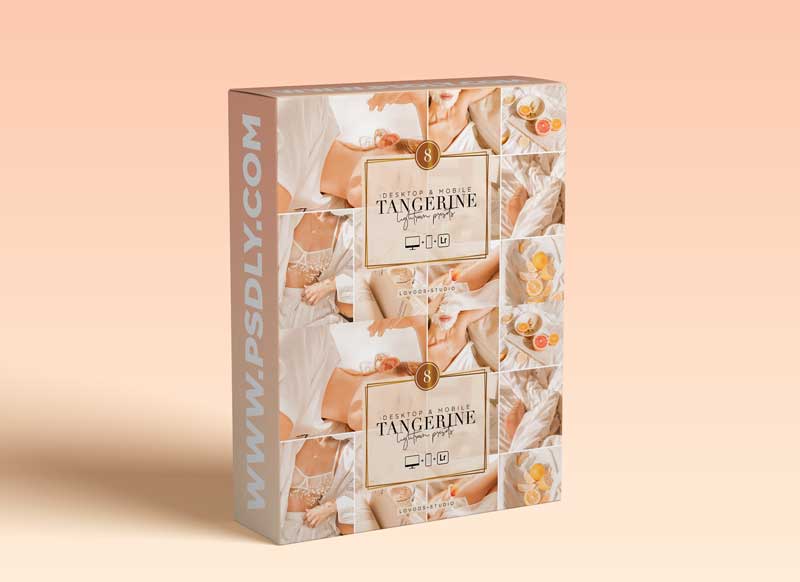 CreativeMarket - TANGERINE - Lightroom Presets 5954720