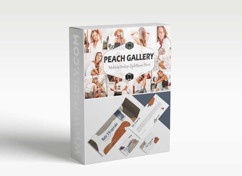 10 Peach Gallery Lightroom Presets 2968792