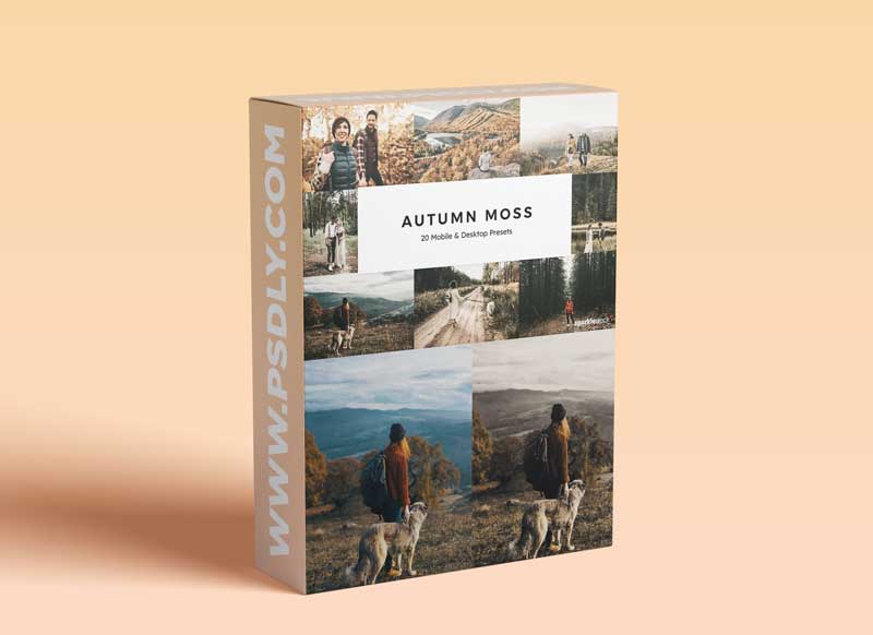 20 Autumn Moss Lightroom Presets & LUTs