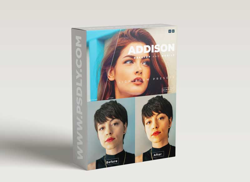 Addison Desktop and Mobile Lightroom Preset