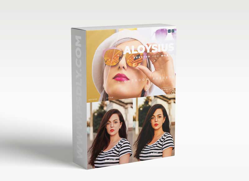 Aloysius Desktop and Mobile Lightroom Preset