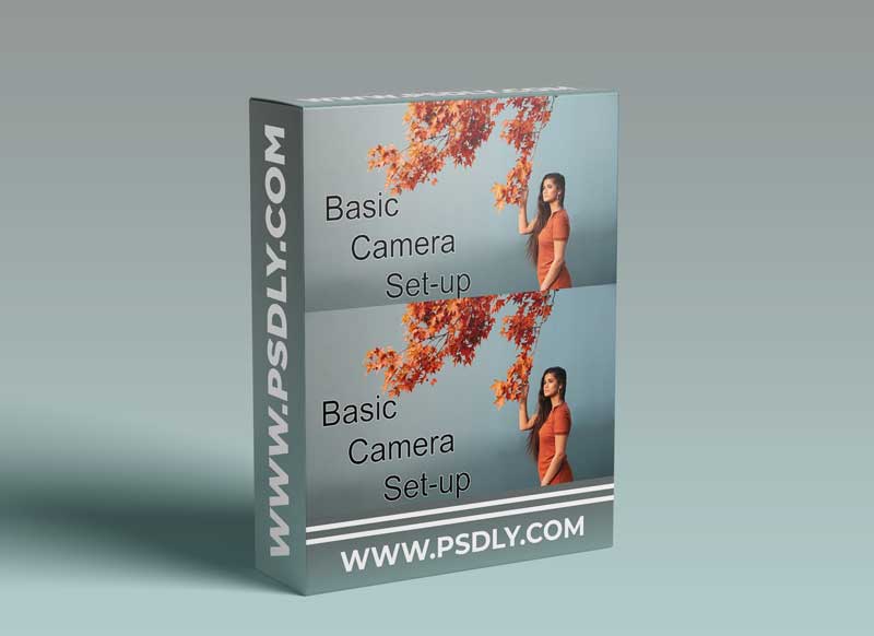 Basic Camera Set-up: The First Step to Quality Creative Photography