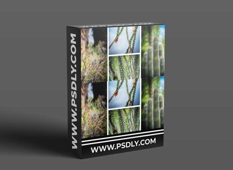 Batch Processing Photos to Save Time