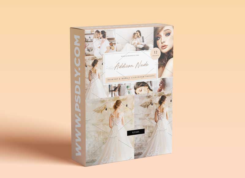 CreativeMarket - 12 x Lightroom Presets Addison Nude 5962787