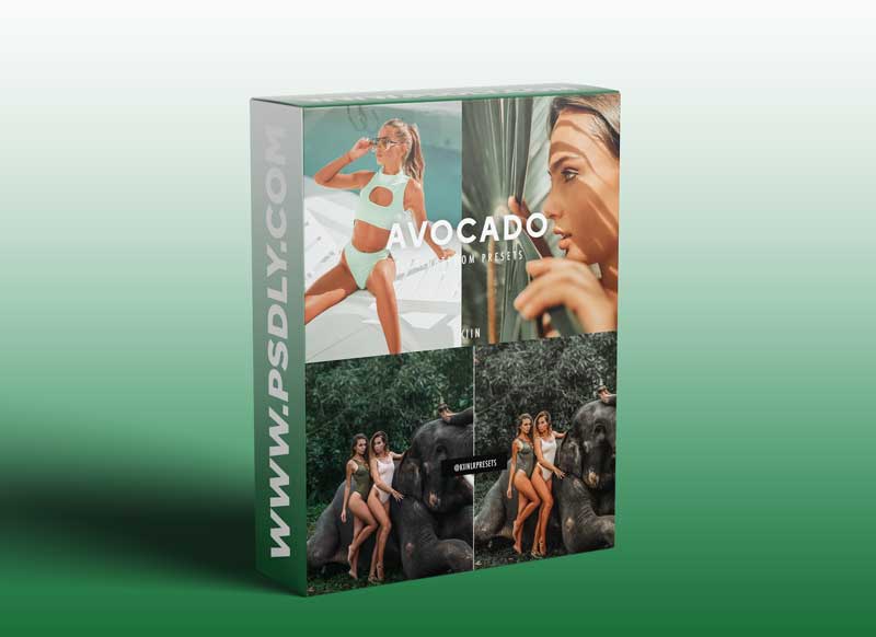 CreativeMarket - 5 AVOCADO LIGHTROOM PRESETS 4469008