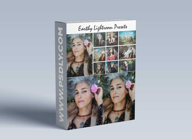 CreativeMarket - Earthy Lightroom Presets 4611887