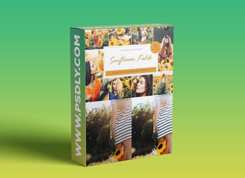 CreativeMarket - Sunflower Field Presets | Desktop 4792014