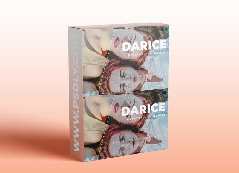 Darice Desktop and Mobile Lightroom Preset