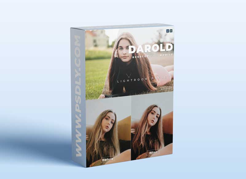 Darold Desktop and Mobile Lightroom Preset