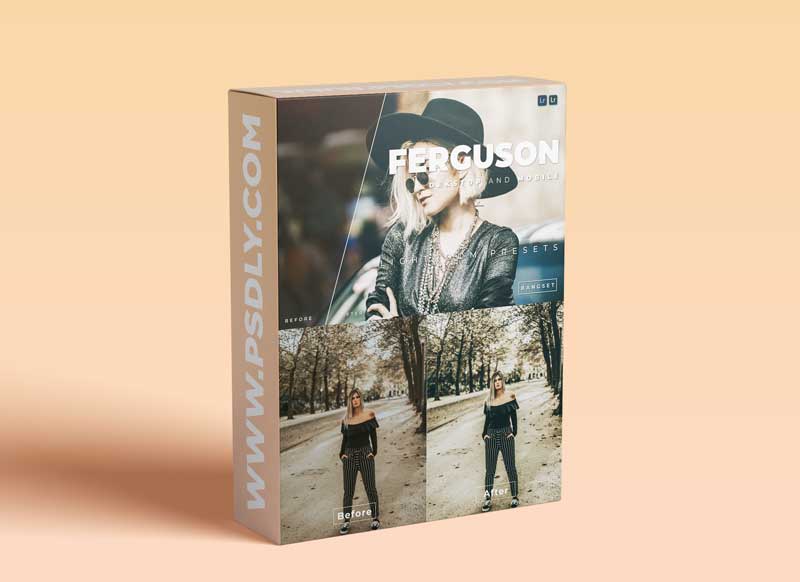 Ferguson Desktop and Mobile Lightroom Preset