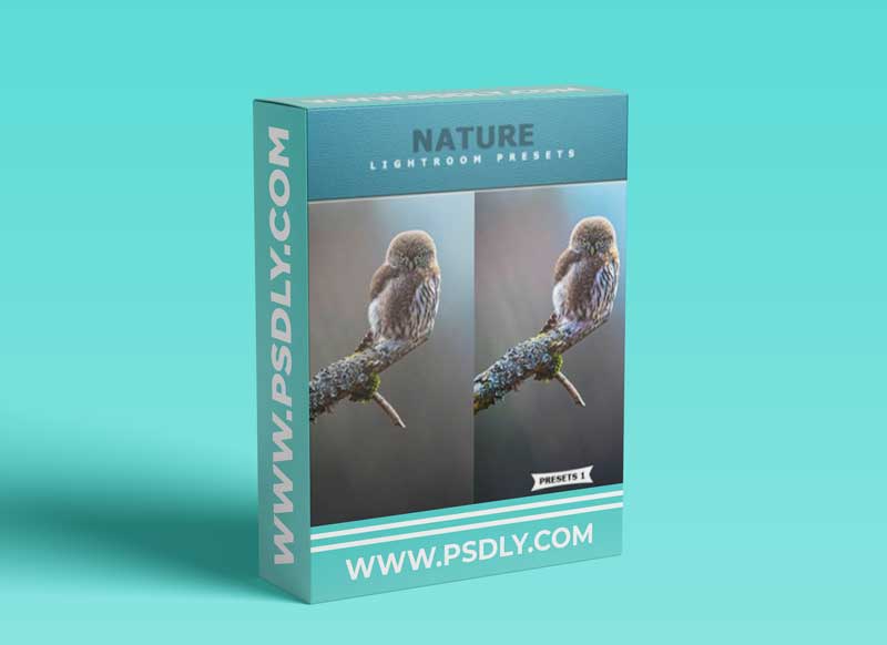 GraphicRiver - Nature Lightroom Presets 26129700