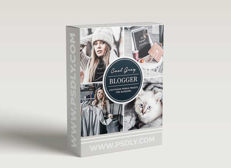 GraphicRiver - Silver Grey Lightroom Preset 26660424