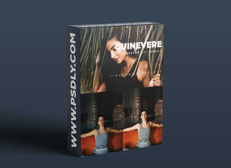 Guinevere Desktop and Mobile Lightroom Preset