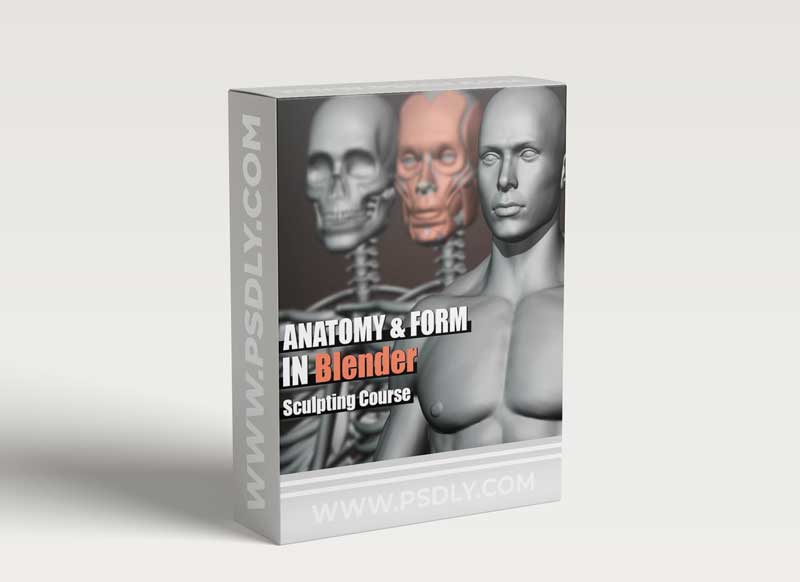 Gumroad – Anatomy and Form in Blender – Sculpting Course