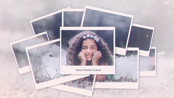 Videohive Multi Frame Photo Gallery 22146110