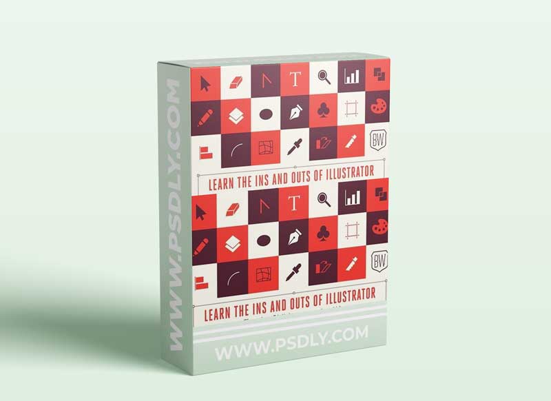 Learn the Ins and Outs of Illustrator