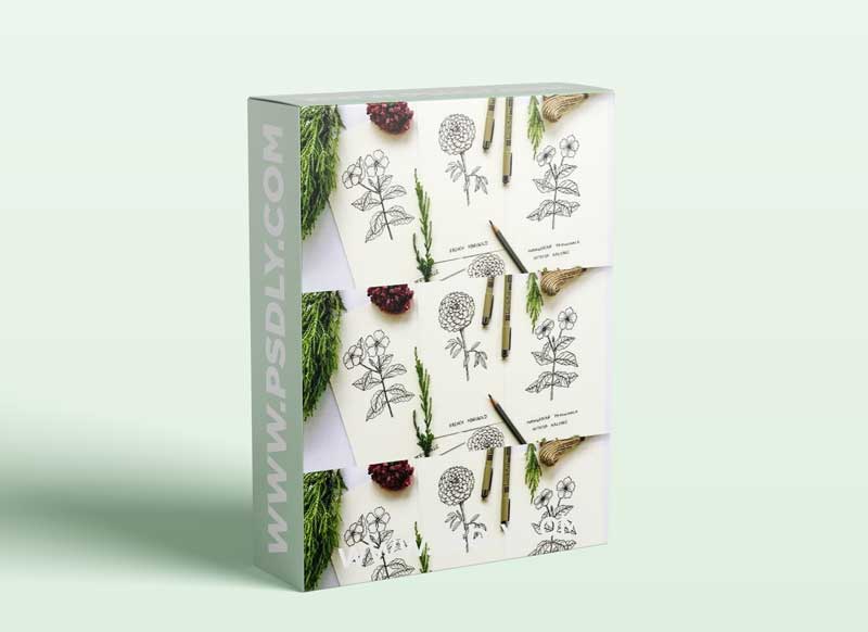 Learn to draw Flowers: French Marigold + Madagascar Periwinkle