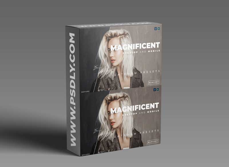 Magnificent Desktop and Mobile Lightroom Preset